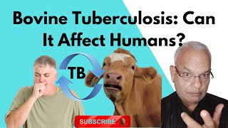 Bovine Tuberculosis Can It Affect Humans Exploring the Risks and Realities [upl. by Kempe]