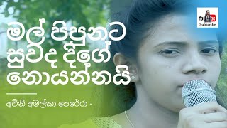 Mal Pipunata Suwanda Dige Noyannai  Achini Amalka Perera  Original Song [upl. by Shantha]