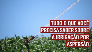 Tudo o que você precisa saber sobre a irrigação por aspersão [upl. by Barolet]