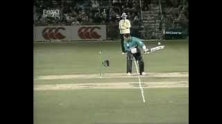 Brett Lee vs Adam Parore [upl. by Rammaj]