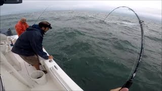 BIG Striped Bass 7ounce Rod Surprising Outcome [upl. by Anomor]