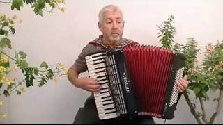 Rosinha dos Limões  Fado Música Portuguêsa acordeão  Portuguese music accordion [upl. by Siegel]