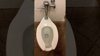 Men’s Kohler Highcrest Toilet Flush  Chuck E Cheese Pearl City O’ahu Hawai’i  Desensitization [upl. by Sig]