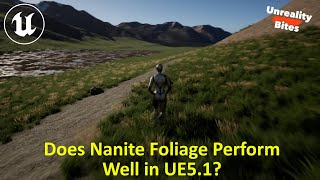 Does Nanite Foliage Perform Well in UE51 [upl. by Anailli]