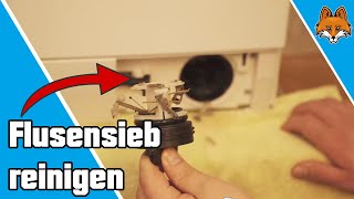 Flusensieb reinigen an der Waschmaschine  super einfache Anleitung 🚿 [upl. by Eekorehc]