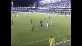 Santos 2 x 0 FlamengoPI Copa do Brasil 2013 [upl. by Nytsirk]