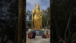 Sri Subrahmanya Swami Temple Pakala 54 ft Subramanya StatueMurugan Temple Near Tirupati ytshorts [upl. by Elysha]