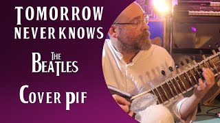 Tomorrow Never Knows  Cover Pif  The Beatles [upl. by Solohcin]