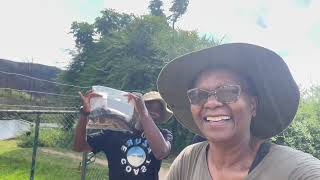 Welcome To The Trout Hatchery  Nyangombe Falls Troutbeck Nyanga  Living In Zimbabwe [upl. by Nallak]