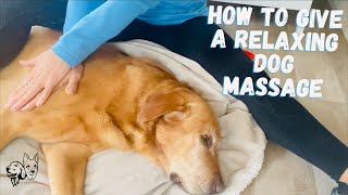 How to Massage Your Dog for Relaxation Mobility amp Longevity [upl. by Elvis]