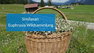 Similasan Euphrasia Wildsammlung [upl. by Sierra]