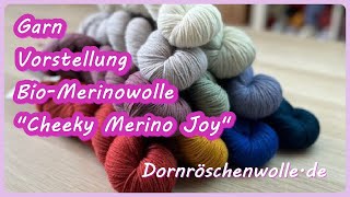 Garnvorstellung BioMerinowolle quotCheeky Merino Joyquot mit einem kleinen Gruß aus der Färbe Küche [upl. by Peterus]