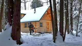 Dying Maple Leans Over the CabinI Tried to Bring it Down  Ep112  Outsider Cabin Build [upl. by Fausta]