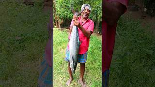 15 Kg Vanjaram Fish Fry 🐟 shorts [upl. by Dayir945]