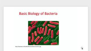 Term 3 Exam 1 Review  Microbiology amp Immunology [upl. by Aibara]