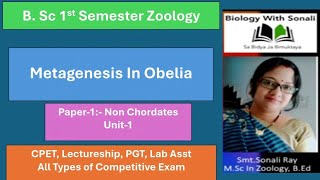 Metagenesis In Obelia  BSc 1st Semester zoology obelia metagenesis bsc1stsemesterzoology [upl. by Rabkin]