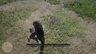 Red Dead Redemption 2 CHAP 6 Ps4 Gameplay [upl. by Asirehc]