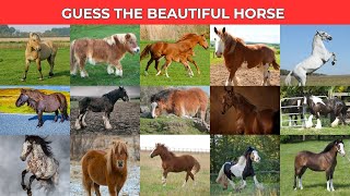 Guess The Horse  Beautiful horse horse video guess [upl. by Naejarual]