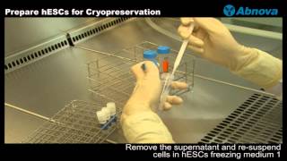 Prepare hESCs for Cryopreservation [upl. by Ernesta945]