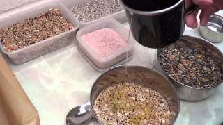 How To Make Bird Seed Treats [upl. by Tnarud]