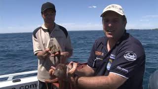 Perth Octopus Fishing Western Australia Series 14 Ep 16 [upl. by Aket]