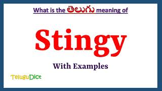 Stingy Meaning in Telugu  Stingy in Telugu  Stingy in Telugu Dictionary [upl. by Cicily]