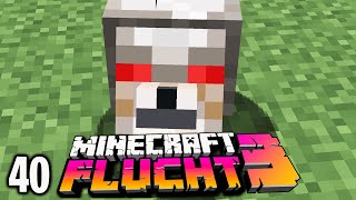 Dieser Hund war zwei Jahre lang verschwunden ☆ Minecraft FLUCHT 3 40 [upl. by Acirtal]