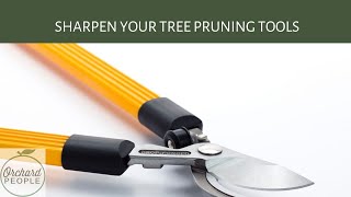 Sharpening Tree Pruning Tools 🪚🌳 🧰 with OrchardPeoplecom [upl. by Ledoux170]