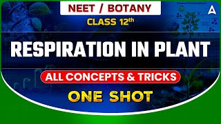 RESPIRATION IN PLANT CLASS 12 ONE SHOT  ALL CONCEPTS amp TRICKS  NEET 2024  BOTANY SANKALP BHARAT [upl. by Norval]