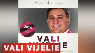 VALI VIJELIE  CAND IN DRAGOSTE NAI VINA HIT NOU 2014 [upl. by Xirtaeb]