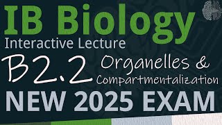 NEW 2025 EXAM  IB Biology B22  Organelles amp Compartmentalization SLHL  Interactive Lecture [upl. by Auhsot]