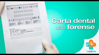 Carta Dental  uso forense  Tu Salud Guía [upl. by Macdougall]