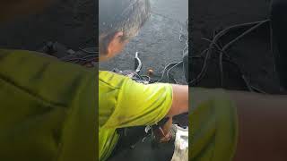 Car General wiring wiring shorts [upl. by Cleopatre]