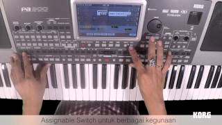 Korg Pa 900  tips quotassignable Switchquot [upl. by Assele]