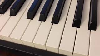 Casio CDP S100 demo vs Yamaha P45 for beginners [upl. by Vinia]