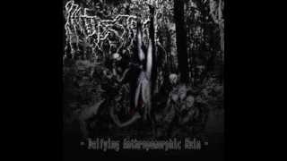 Orchidectomy  A Prelates Attrition Full Album [upl. by Treborsemaj]