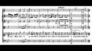 Mozart  Bastien und Bastienne 12  Aria Er war mir sonst treu und ergeben [upl. by Chirlin]