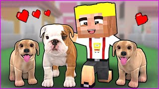 EFEKANIN KÖPEĞİNİN YAVRULARI OLDU 🥰  Minecraft [upl. by Ahsinut83]