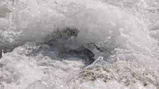 bubbling water flow of mountain river under direct sun light [upl. by Egas]