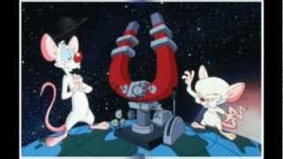 Pinky And The Brain  DJ Dee Square [upl. by Bowles285]