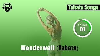 Tabata Songs  quotWONDERWALL Tabataquot w Tabata Timer [upl. by Alyk940]