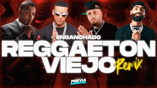 MIX REGGAETON VIEJO Old School Daddy Yankee Plan B Don Omar Calle 13 Y MÁS  PREVIA ARGENTINA [upl. by Sukramaj]