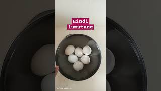 Fresh egg Hindi lumutang fresh egg satisfying highlights [upl. by Goddart]