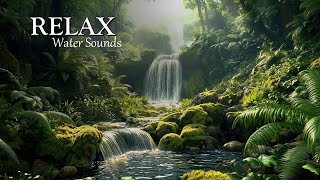 NEW Symphony of Forest Forest Birds Chirping Sound of Murmuring Stream Nature Sounds ASMR [upl. by Legin]