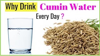 Cumin Water 7 Benefits to starting drink Every Day [upl. by Aldos]