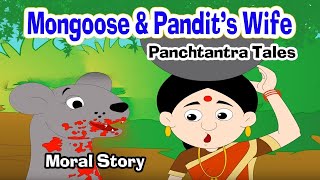 Mongoose vs Snake I Moral Stories In English I Panchtantra Story I Fairy Tales I Bedtime Stories [upl. by Sivrep]