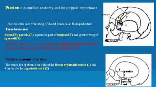 7 Pterion د  احمد مصطفى كمال [upl. by Lewendal]