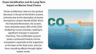 Ocean Acidification and Its LongTerm Impact on Marine Food Chains [upl. by Eidahs830]