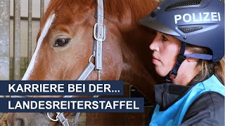 Karriere bei der Polizei NRW bei der Landesreiterstaffel [upl. by Ntisuj]