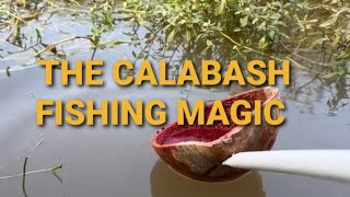 The Calabash fishing magic ASMR [upl. by Micaela]